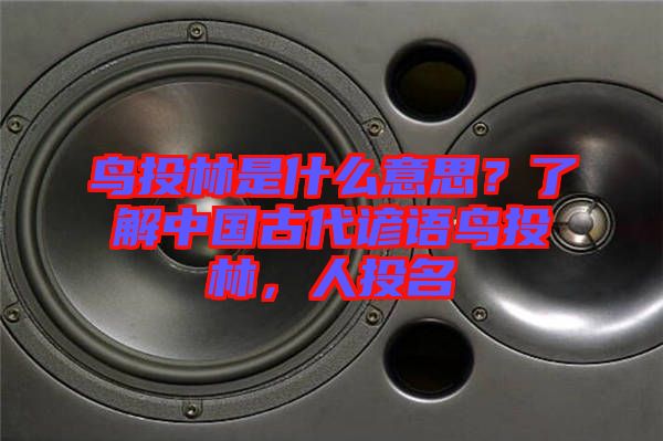 鳥投林是什么意思？了解中國(guó)古代諺語(yǔ)鳥投林，人投名