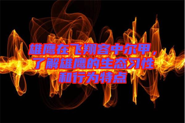 雄鷹在飛翔容中爾甲，了解雄鷹的生態(tài)習性和行為特點