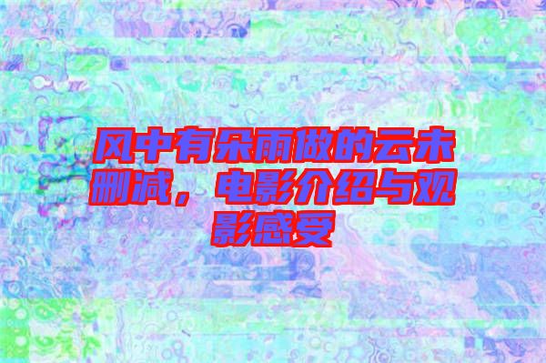風(fēng)中有朵雨做的云未刪減，電影介紹與觀影感受