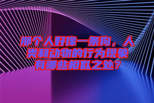 那個人好像一條狗，人類和動物的行為現(xiàn)象有哪些相似之處？