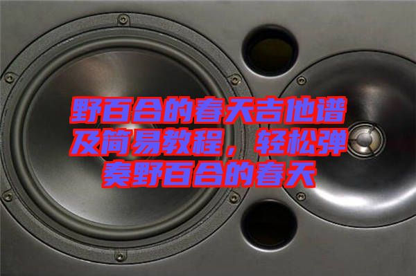 野百合的春天吉他譜及簡(jiǎn)易教程，輕松彈奏野百合的春天