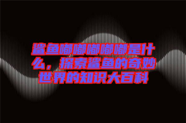鯊魚嘟嘟嘟嘟嘟是什么，探索鯊魚的奇妙世界的知識大百科