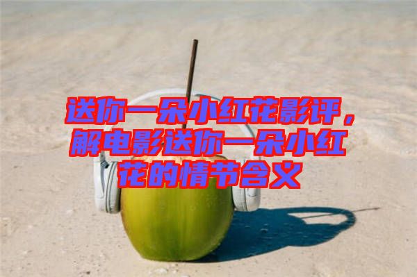 送你一朵小紅花影評，解電影送你一朵小紅花的情節(jié)含義