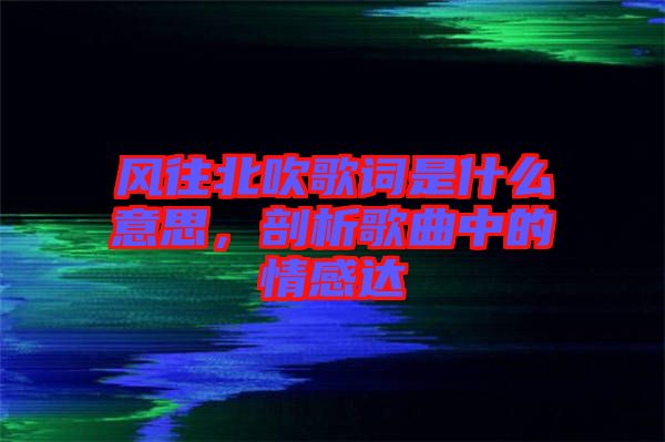 風往北吹歌詞是什么意思，剖析歌曲中的情感達