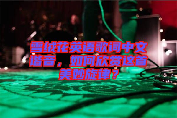雪絨花英語歌詞中文諧音，如何欣賞這首美妙旋律？