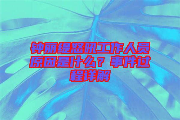 鐘麗緹怒吼工作人員原因是什么？事件過程詳解