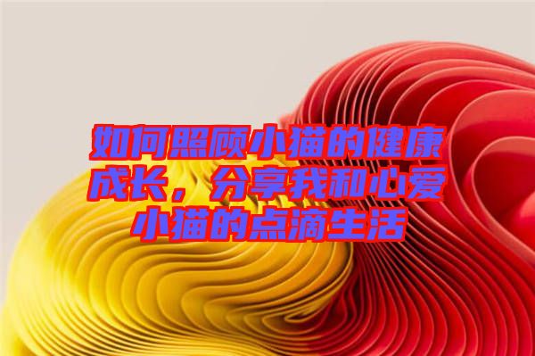 如何照顧小貓的健康成長(zhǎng)，分享我和心愛(ài)小貓的點(diǎn)滴生活