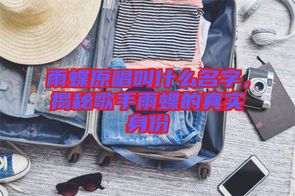 雨蝶原唱叫什么名字，揭秘歌手雨蝶的真實身份