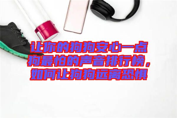 讓你的狗狗安心一點狗最怕的聲音排行榜，如何讓狗狗遠離恐懼
