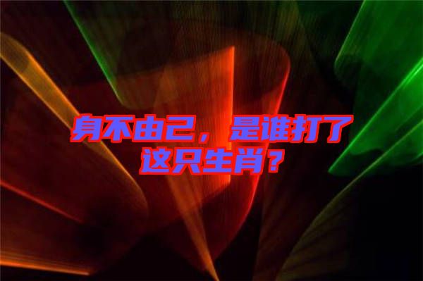 身不由己，是誰打了這只生肖？