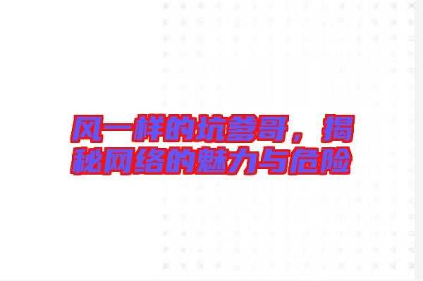 風一樣的坑爹哥，揭秘網絡的魅力與危險