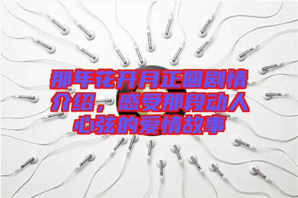 那年花開月正圓劇情介紹，感受那段動人心弦的愛情故事