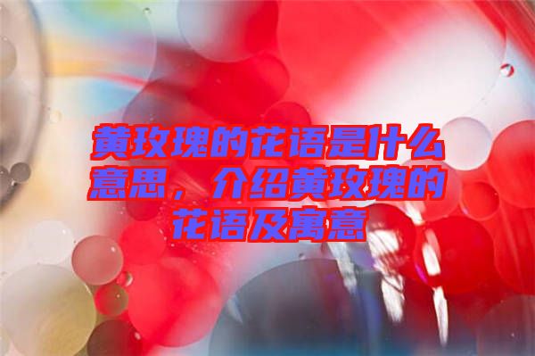 黃玫瑰的花語是什么意思，介紹黃玫瑰的花語及寓意
