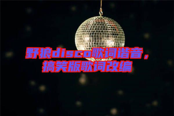 野狼disco歌詞諧音，搞笑版歌詞改編