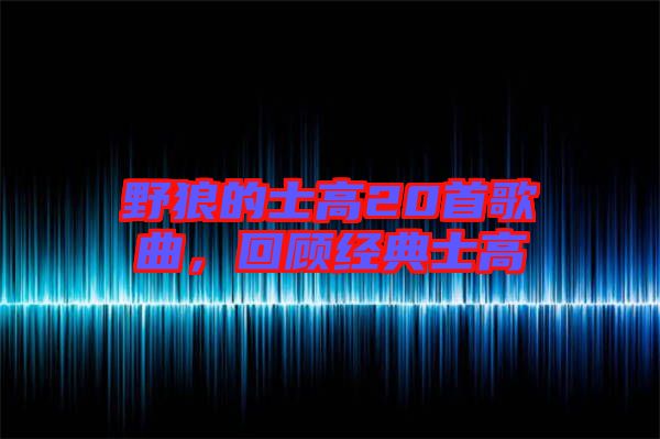 野狼的士高20首歌曲，回顧經(jīng)典士高