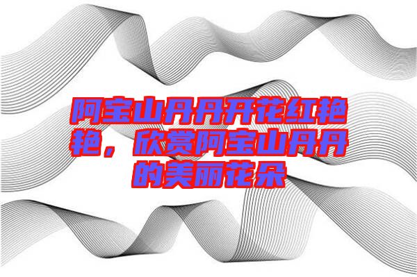 阿寶山丹丹開花紅艷艷，欣賞阿寶山丹丹的美麗花朵