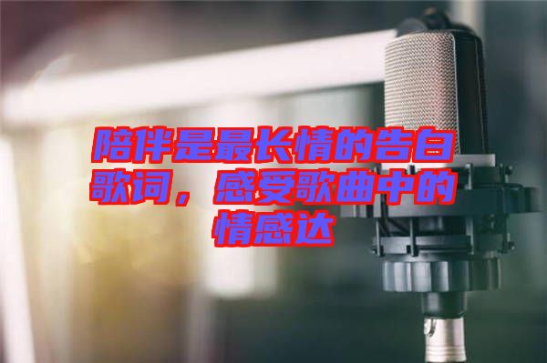陪伴是最長情的告白歌詞，感受歌曲中的情感達(dá)