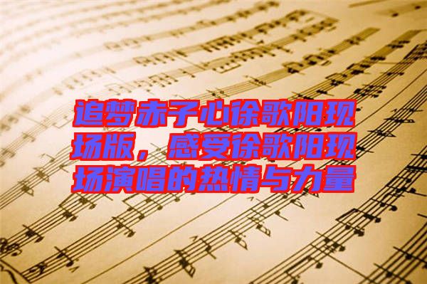 追夢(mèng)赤子心徐歌陽(yáng)現(xiàn)場(chǎng)版，感受徐歌陽(yáng)現(xiàn)場(chǎng)演唱的熱情與力量