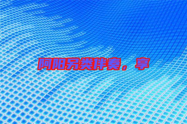 阿陽另類伴奏，享