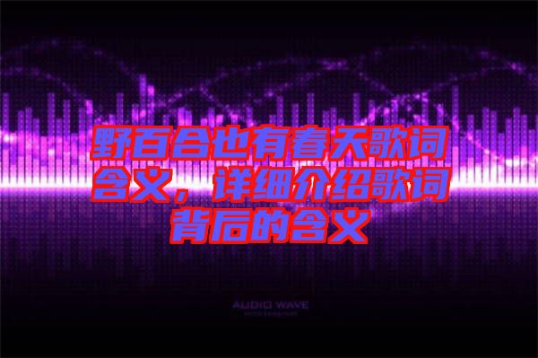 野百合也有春天歌詞含義，詳細介紹歌詞背后的含義