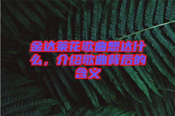 金達萊花歌曲想達什么，介紹歌曲背后的含義