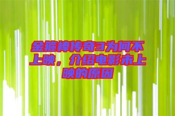 金箍棒傳奇3為何不上映，介紹電影未上映的原因