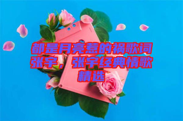 都是月亮惹的禍歌詞張宇，張宇經(jīng)典情歌精選